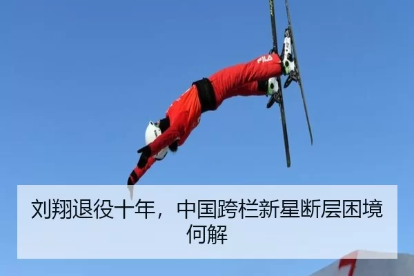 liu-xiang-tui-yi-shi-nian-zhong-guo-kua-lan-xin-xing-duan-ceng-kun-jing-he-jie-3-704.jpg