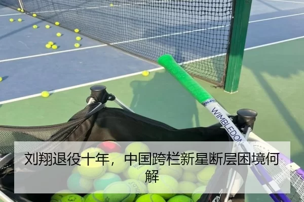 刘翔退役十年，中国跨栏新星断层困境何解