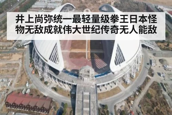 井上尚弥统一最轻量级拳王日本怪物无敌成就伟大世纪传奇无人能敌